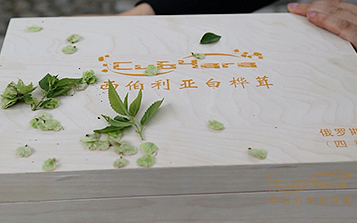 腫瘤藥市場步入爆發(fā)期  中俄推進(jìn)西伯利亞白樺茸產(chǎn)業(yè)