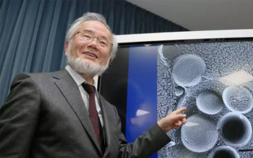 癌癥未來可以預防？日本科學家因發(fā)現(xiàn)“細胞自噬”獲諾獎