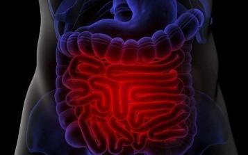 人的腸道一生要處理70噸食物！呵護腸道健康需要注意啥？