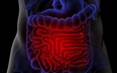 人的腸道一生要處理70噸食物！呵護(hù)腸道健康需要注意啥？
