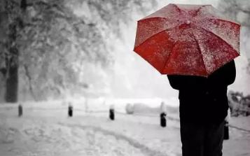 大雪 | 養(yǎng)生重“藏”，慎防四大疾病