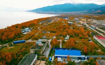 產品升級整合產業(yè)鏈 中俄白樺茸企業(yè)布局后疫情市場
