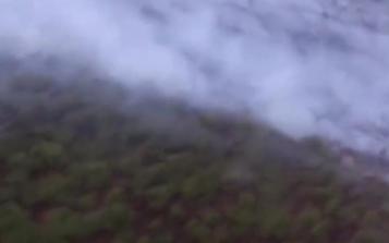西伯利亞森林火災(zāi)面積達(dá)300萬(wàn)公頃！白樺茸會(huì)漲價(jià)嗎？