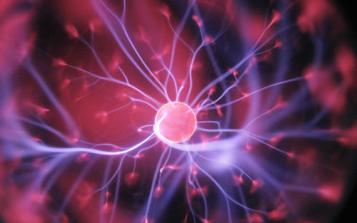 肥胖如何導致癌癥高發(fā)？《Science》子刊最新研究揭曉答案