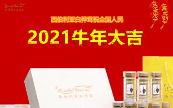2021新春寄語：促進中俄傳統(tǒng)醫(yī)學交流，做最好的白樺茸！